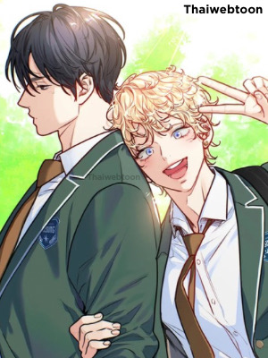 Love is an Illusion! – Superstar