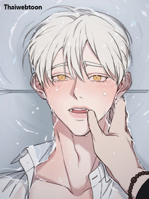 คืนเปลื้องบาป Confession Night