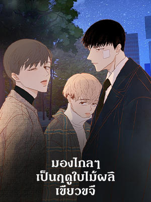 มองไกลๆ เป็นฤดูใบไม้ผลิเขียวขจี From a Distance, Spring is Green