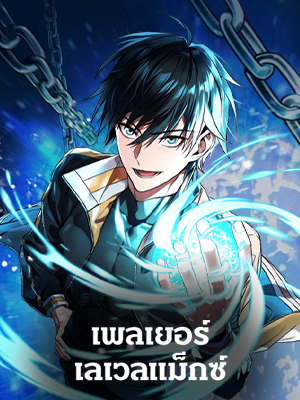 เพลเยอร์เลเวลแม็กซ์